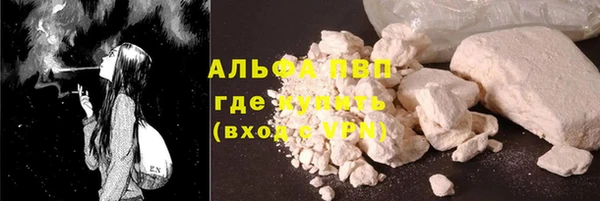 прущие грибы Абаза